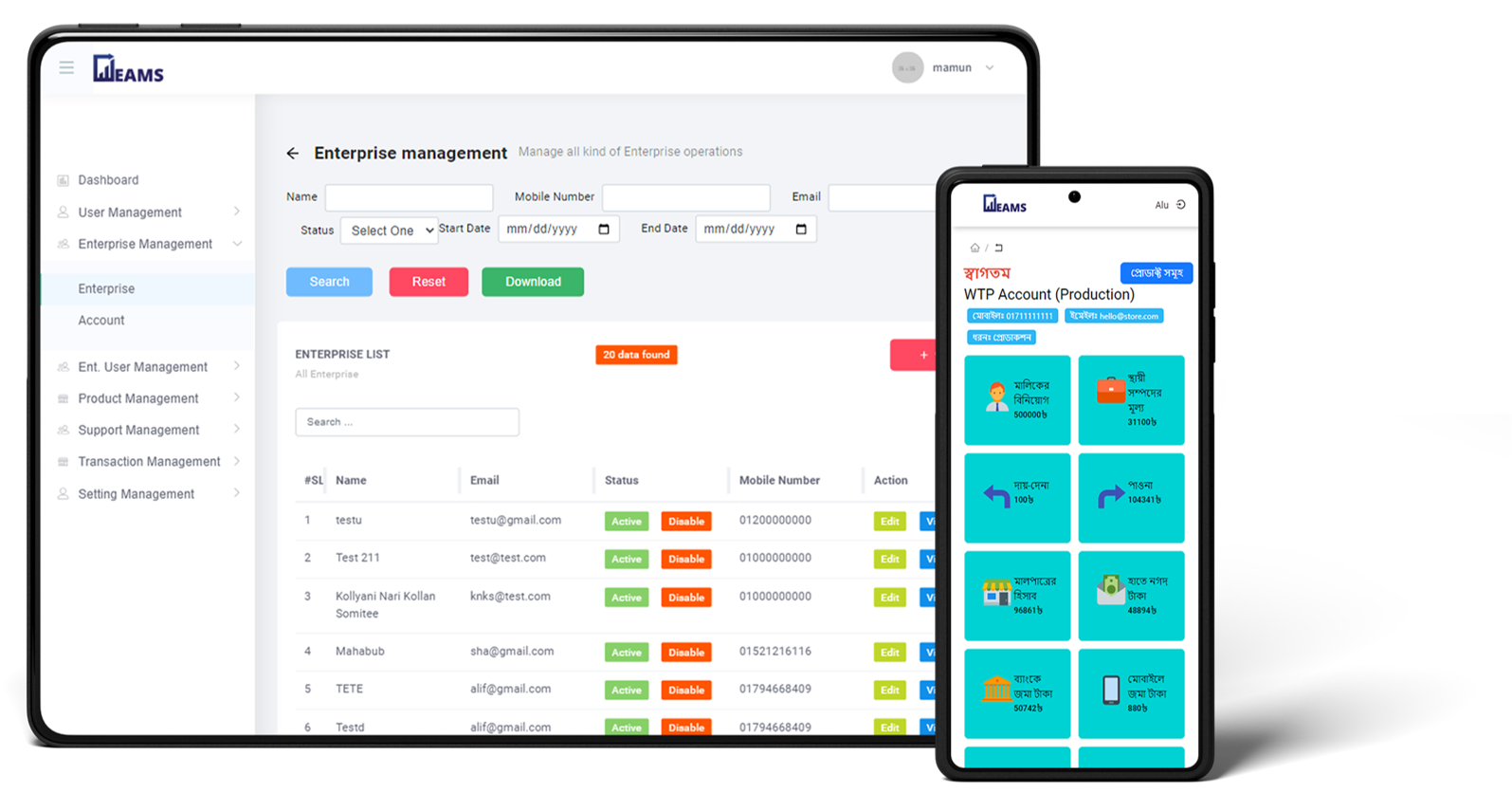 Enterprise Account Management System